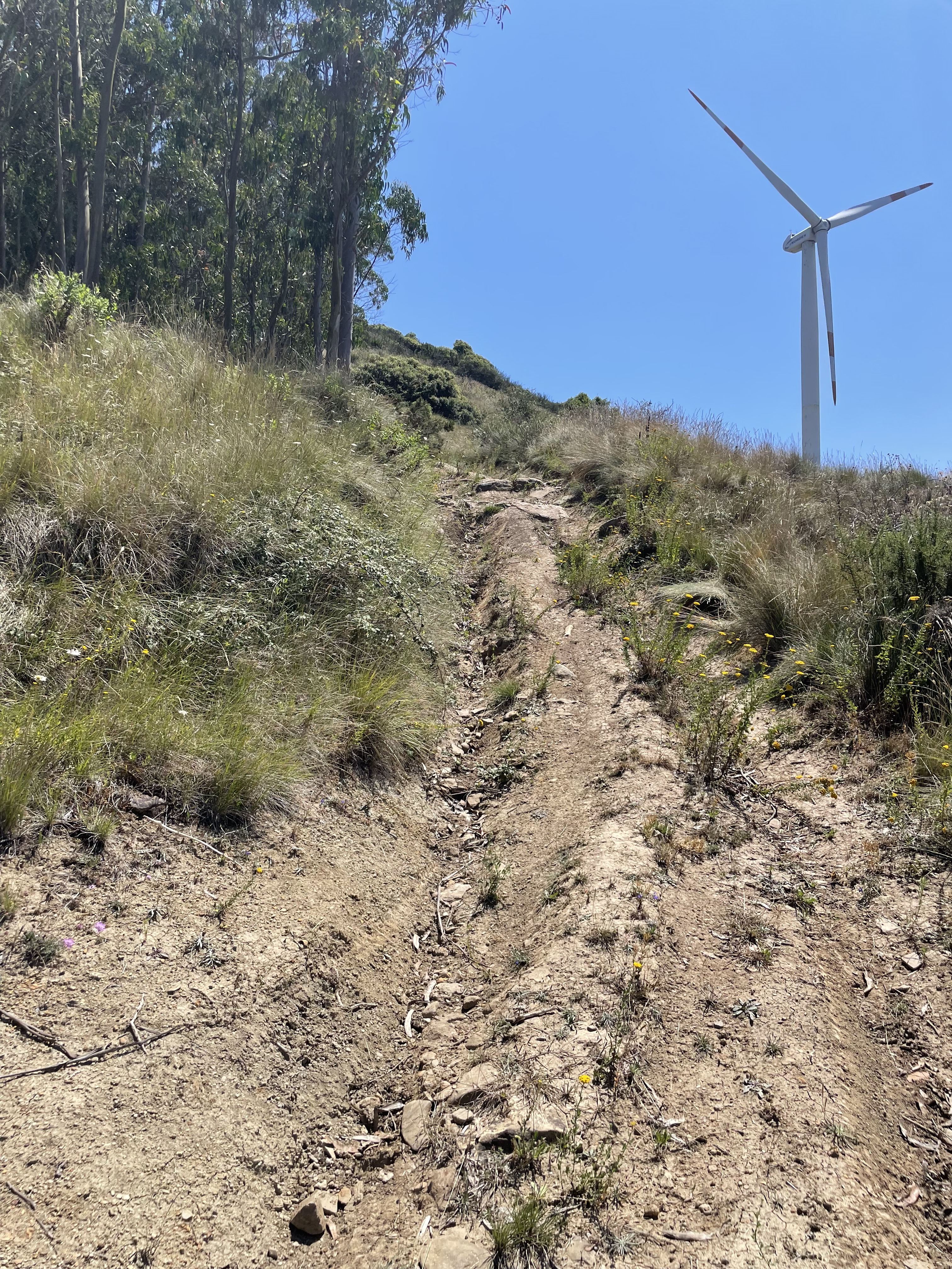 Requalificação de caminhos e identificação de património na Serra da Achada, Monte Redondo