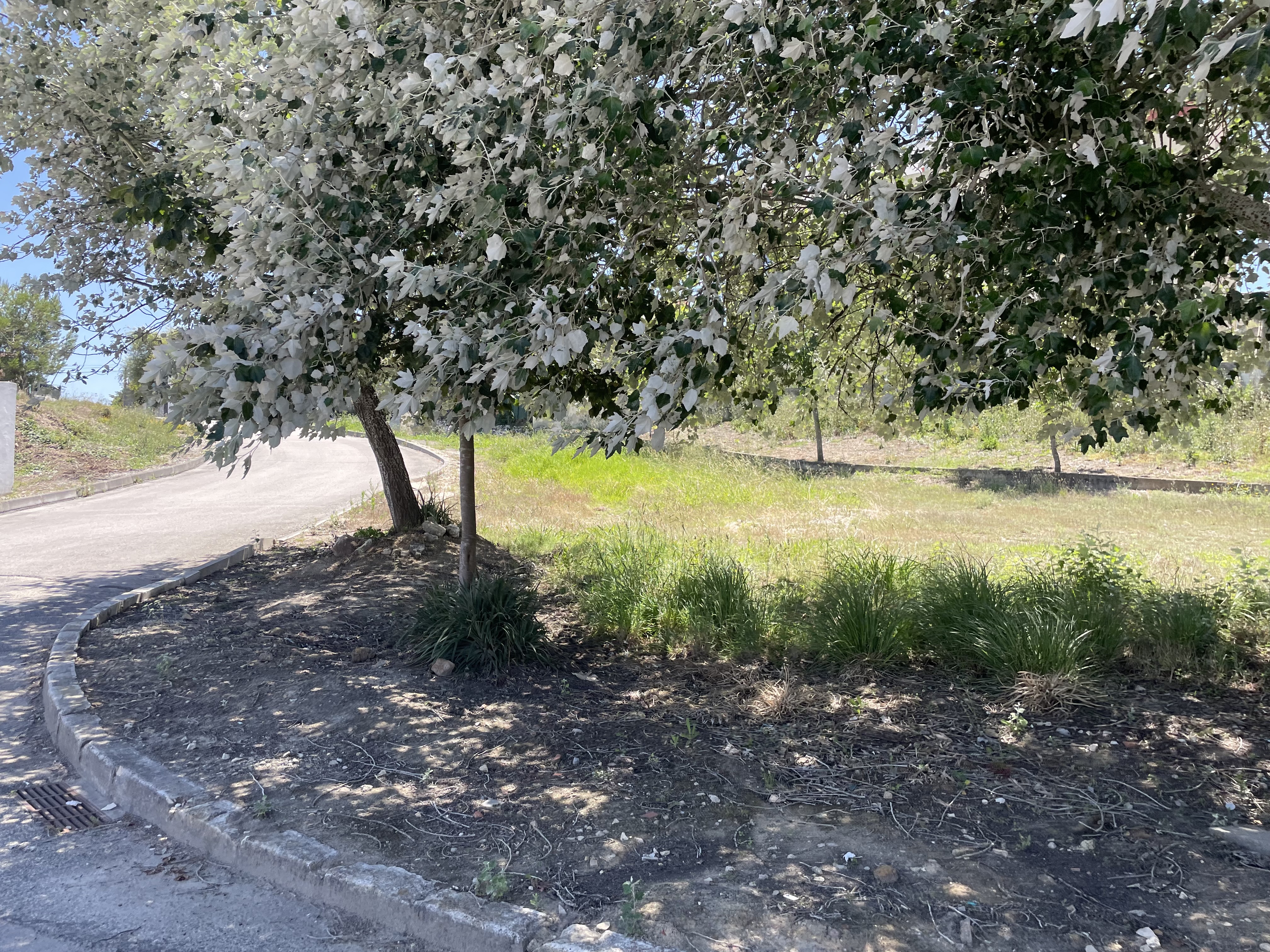 Parque infantil na Quinta da Boavista Sul, Ameal