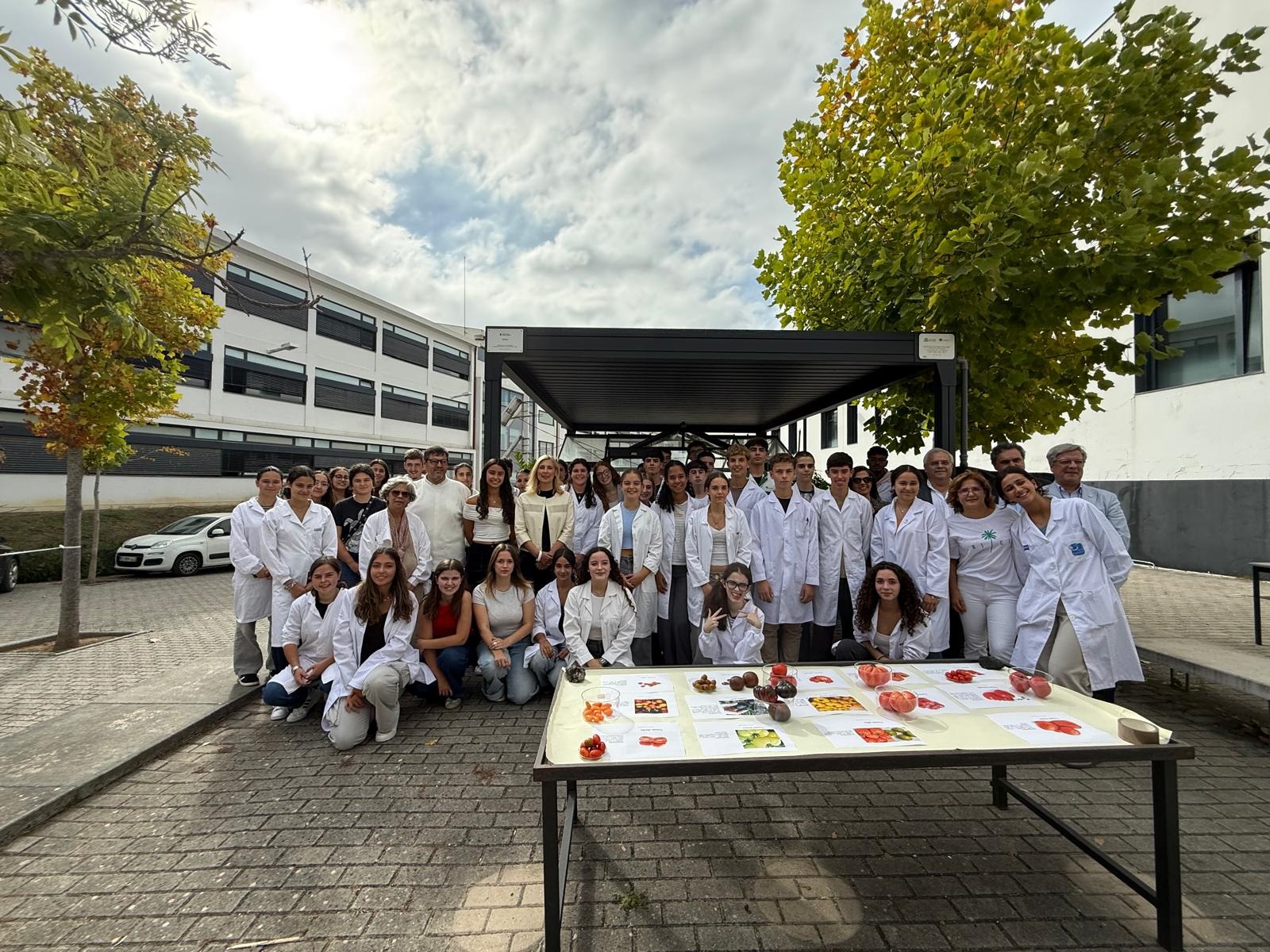 Projeto “Aerosol” foi concretizado no âmbito do Orçamento Participativo